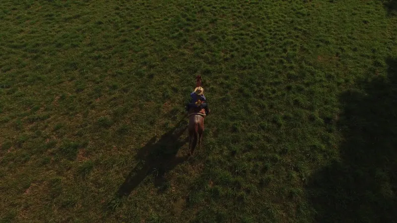 Running, Riding, Field, Horseback Riding by Via Films – Stock Footage ...