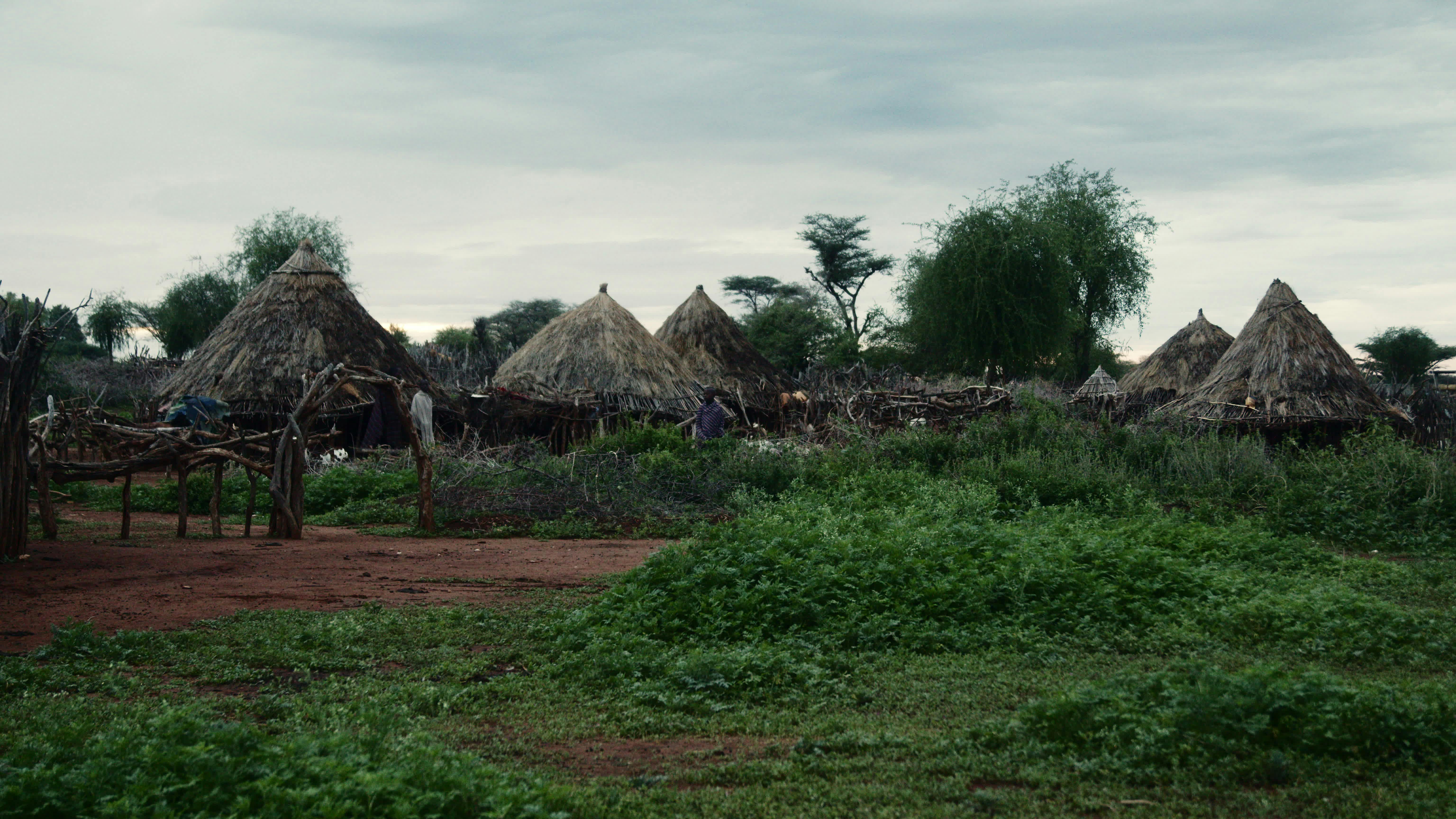 Discover life-in-an-ethiopian-tribe, a story-driven footage