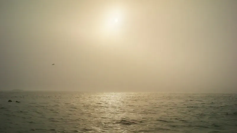 Ethereal, Ocean, Misty, Sunlight by Ross Hillier – Stock Footage | Artlist
