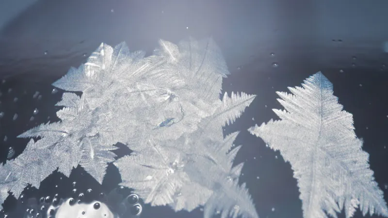 Ice, Freezing, Iced, Sphere by Ami Bornstein – Stock Footage | Artlist