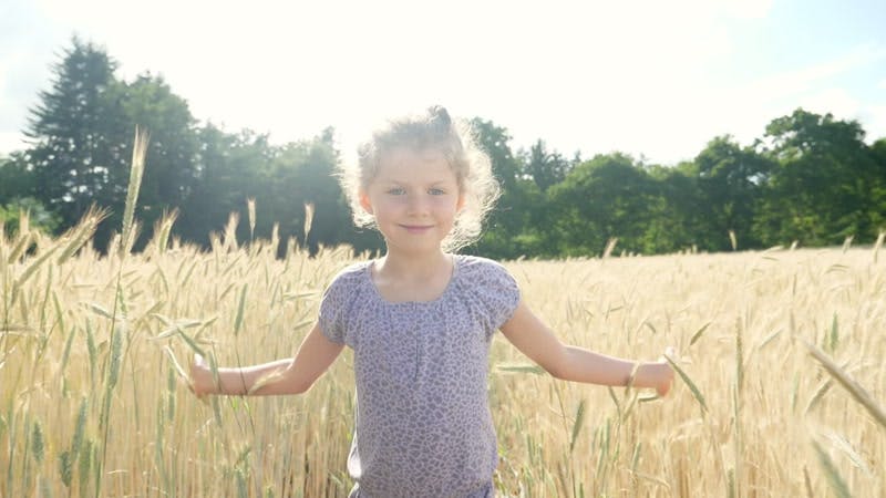 Young girl walking through and touching wheat field