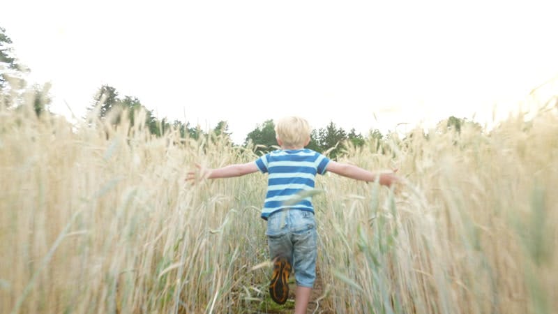 blond boy in blue runs with arms out through field of wheat in the sun