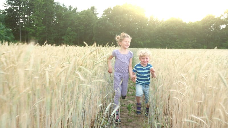 Young children holding hands and running through wheat field