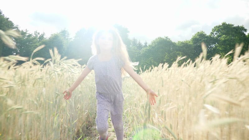 sun shining on her face the girl runs through the wheat field