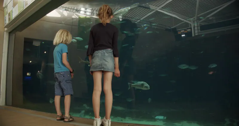 Fish, Pointing, Wonder, Looking by Kristian Ozer Kettner – Stock ...