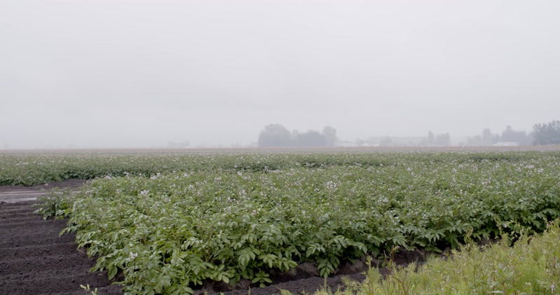 Field Water Rain Daylight By Luke Strahm Stock Footage Artlist