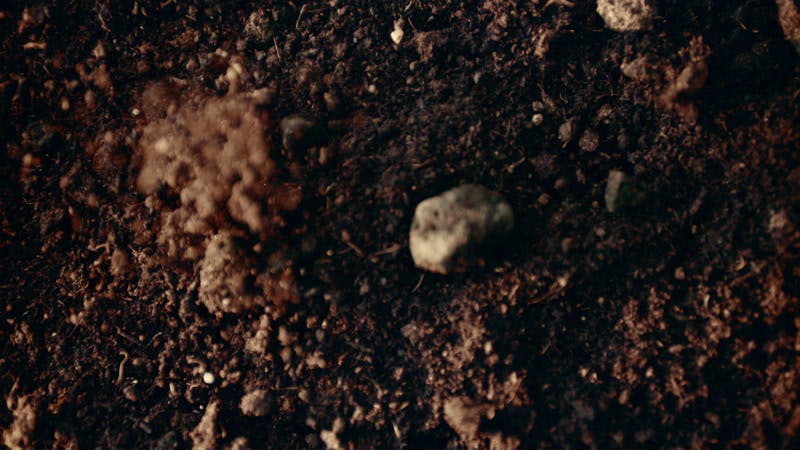 Soil, Shaking, Moving, Earth by Ira Belsky – Stock Footage | Artlist