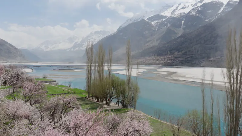 Pakistan, Field, Mountains, Trees by 21 Aerials – Stock Footage | Artlist