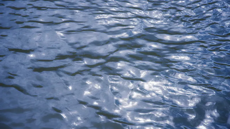 Water, Texture, Stream, Waves by Ami Bornstein – Stock Footage | Artlist