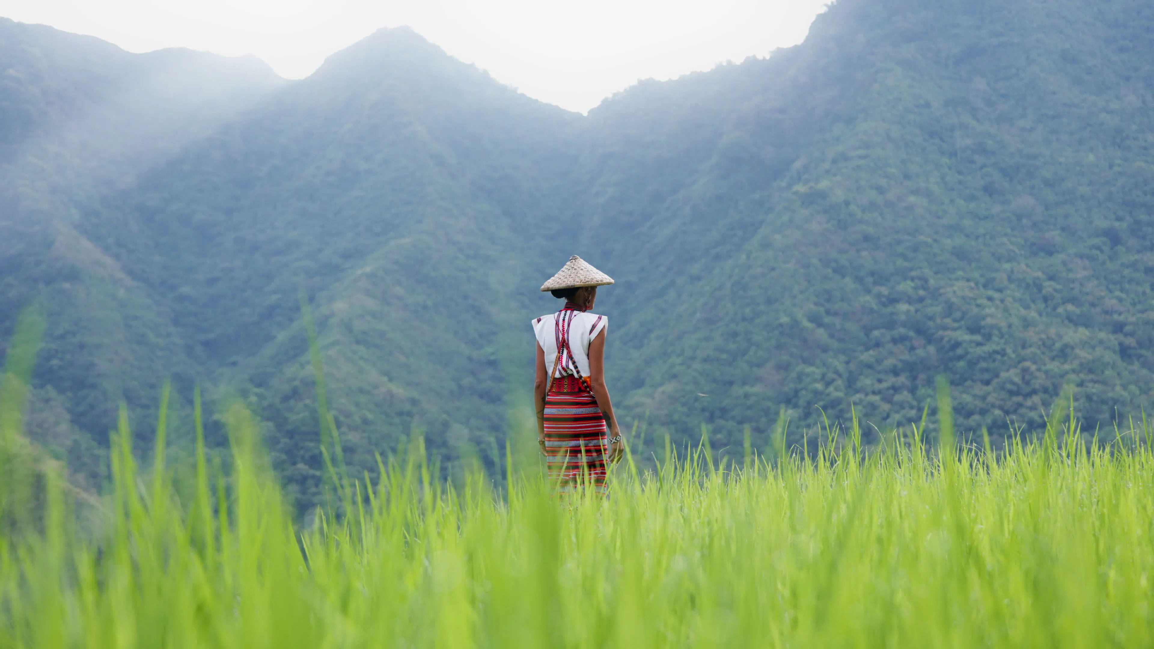 Discover exploring-rice-plantations, a story-driven footage | Artlist