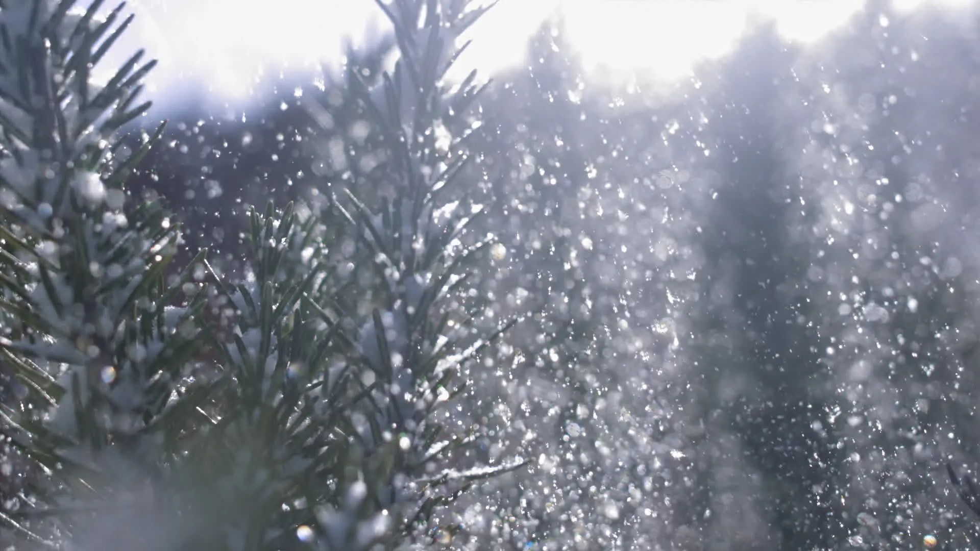 Discover slow-motion-snow-in-nature, a story-driven footage | Artlist