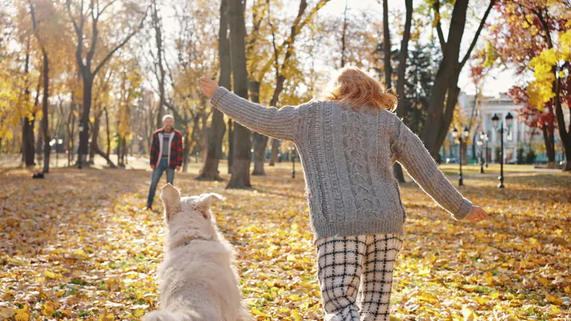Woman, Hugging, Trees, Autumn by Raven production – Stock Footage | Artlist