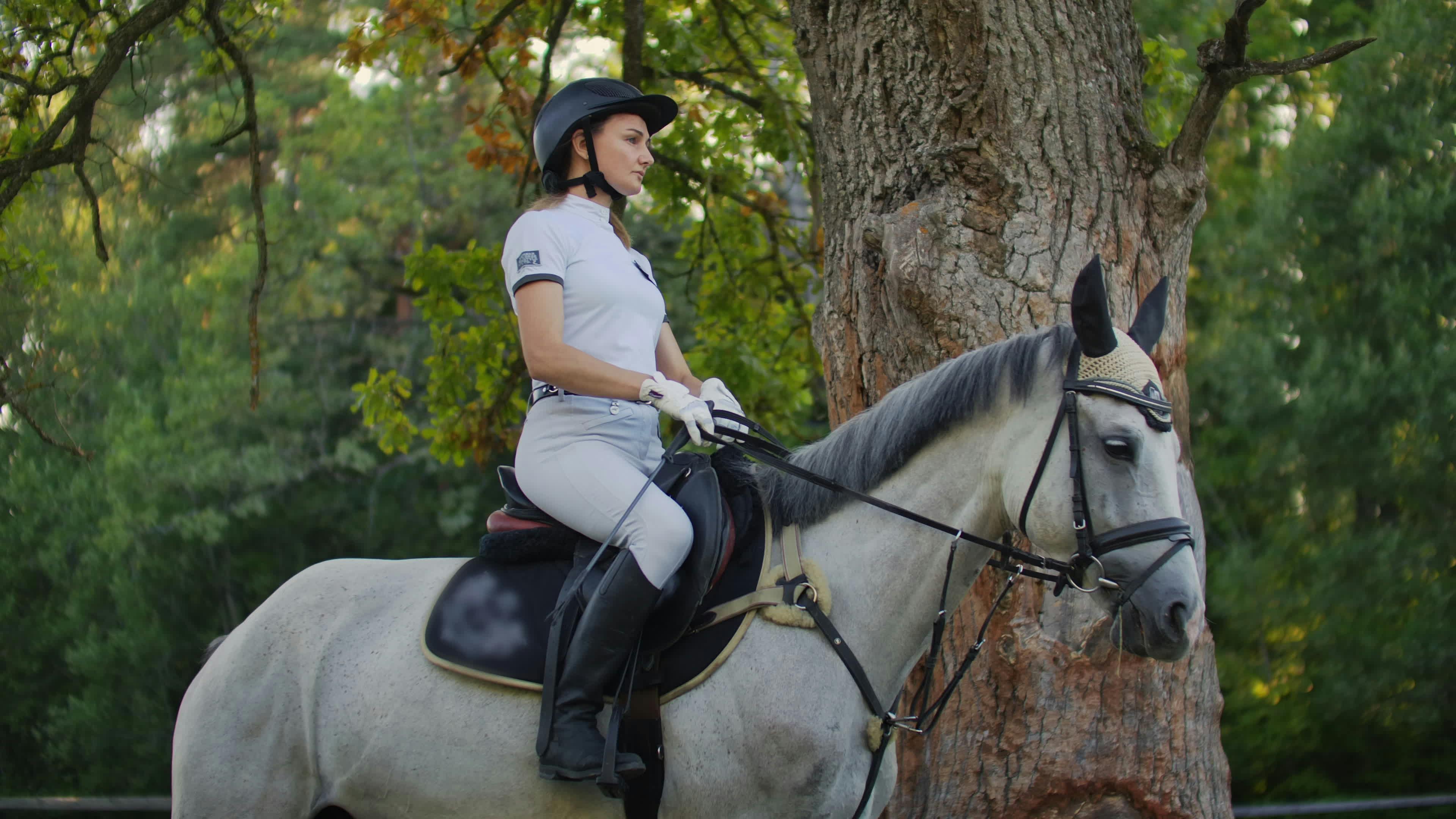 Discover horse-riding-class, a story-driven footage | Artlist