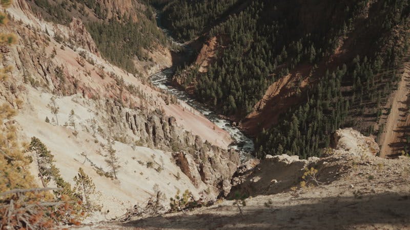 Scenery Grand Canyon Of Yellowstone Trees River By Embara Footage Stock Footage Artlist