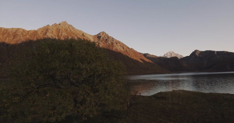 tree overlooking a lake by the mountains at sunset aerial