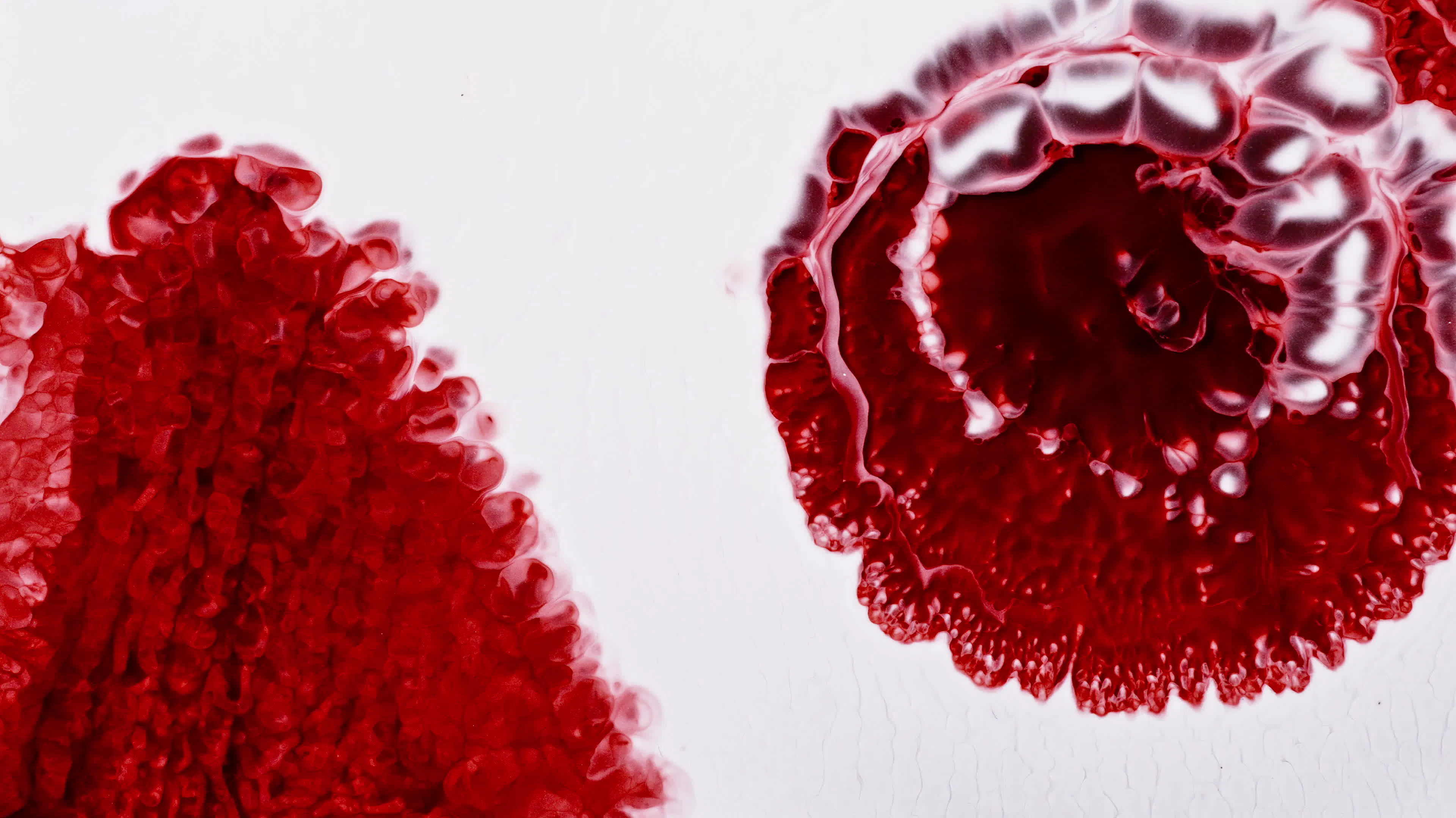 Discover ink-mixture, a story-driven footage | Artlist