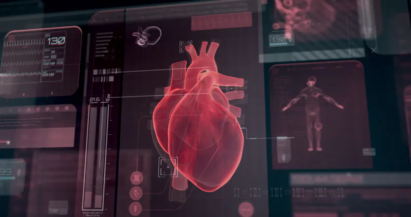 Heartrate, Heartbeat, Pulse, Monitors by Gilad Baron – Stock Footage ...