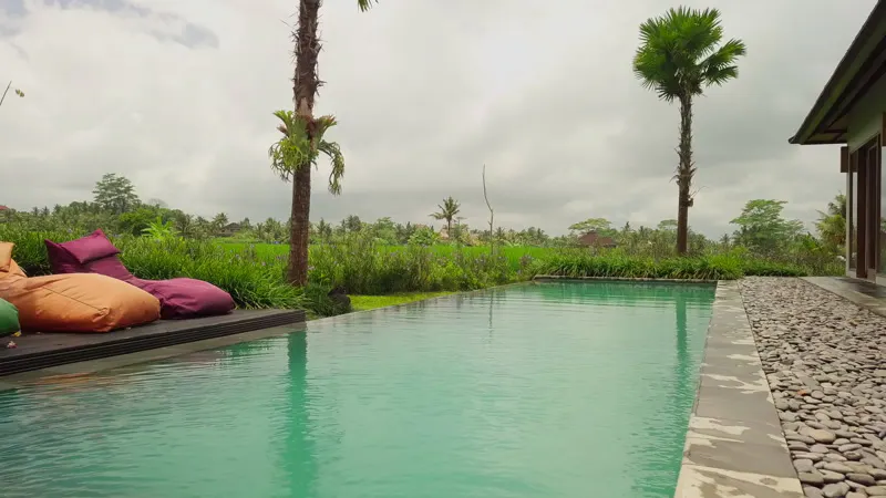 Drone, Swimming Pool, Fields, Rice by Erik Nuenighoff – Stock Footage ...