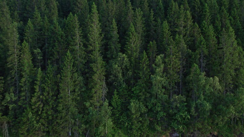 【幕男きいろ】幕男4th The Arth×URBAN FOREST 幕男きいろ】幕男4th The Arth×URBAN FOREST