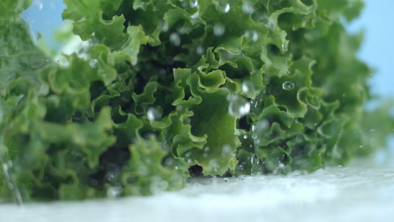 water falling next to lettuce