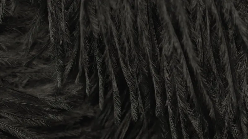 Background, Patterns, Bird, Texture by Leftyphoto – Stock Footage | Artlist