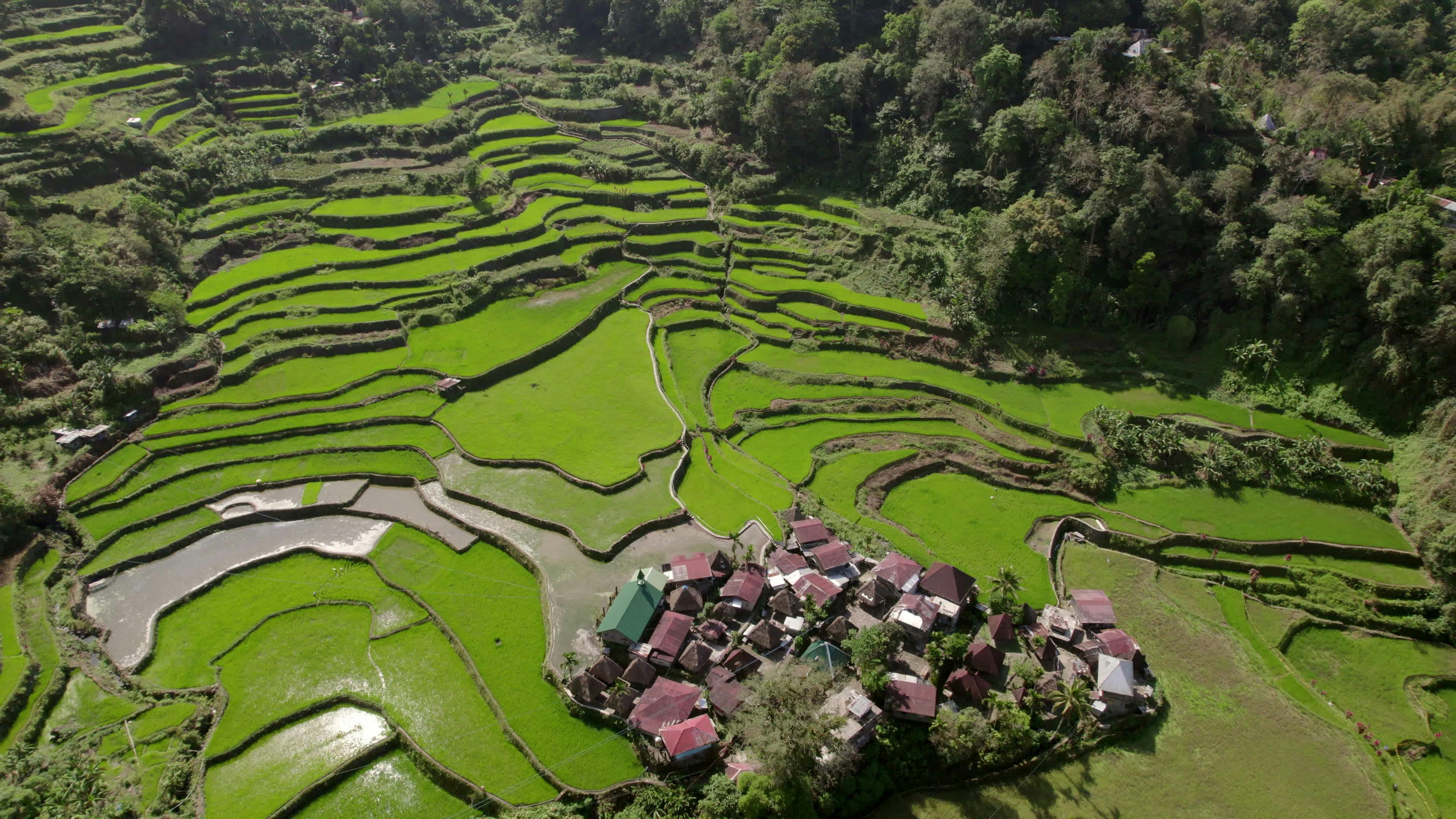 Discover exploring-rice-fields, a story-driven footage | Artlist