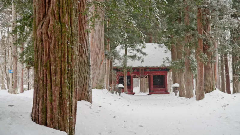 Traditional, Torri, Trees, Japan by Dominick Anskis – Stock Footage ...