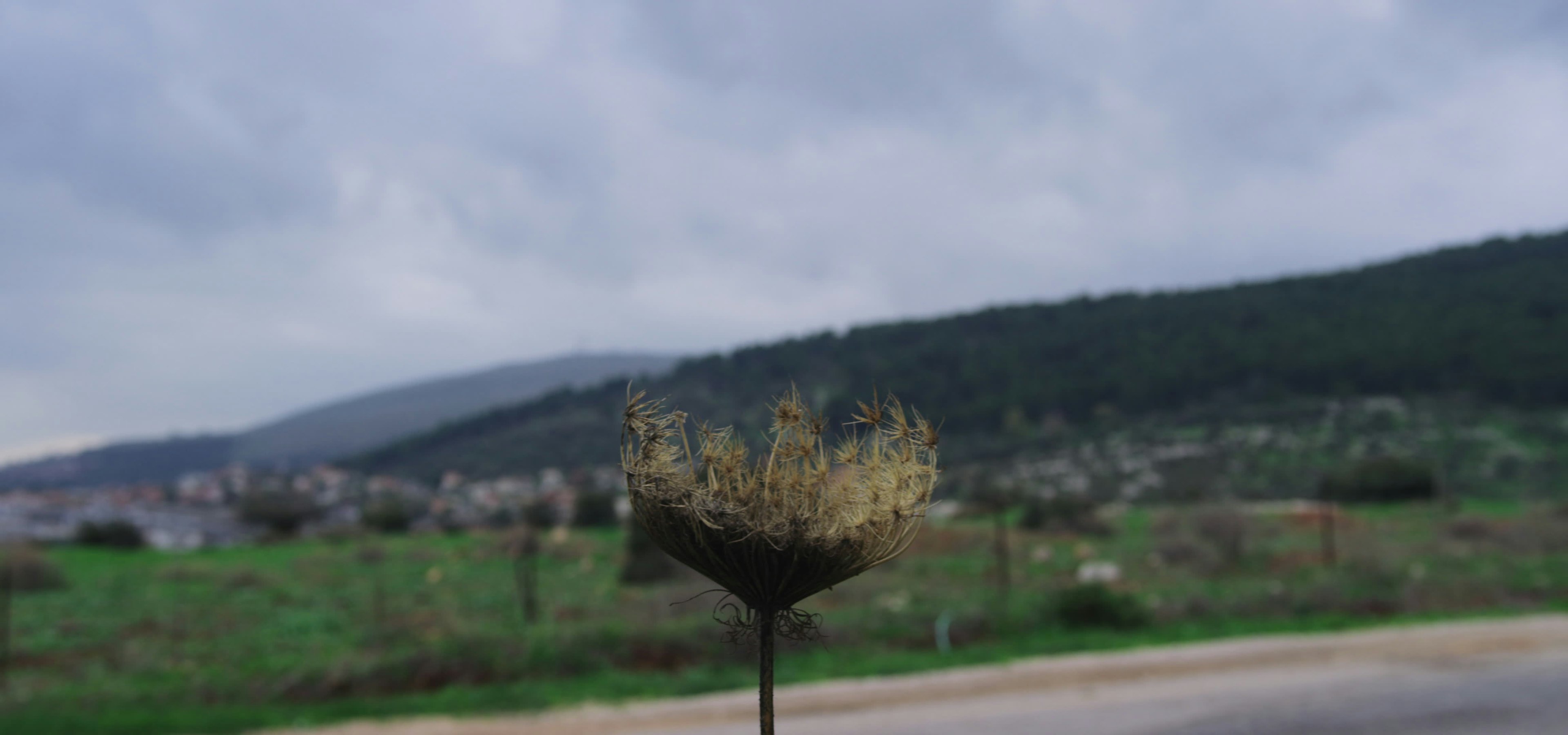 Story Cover