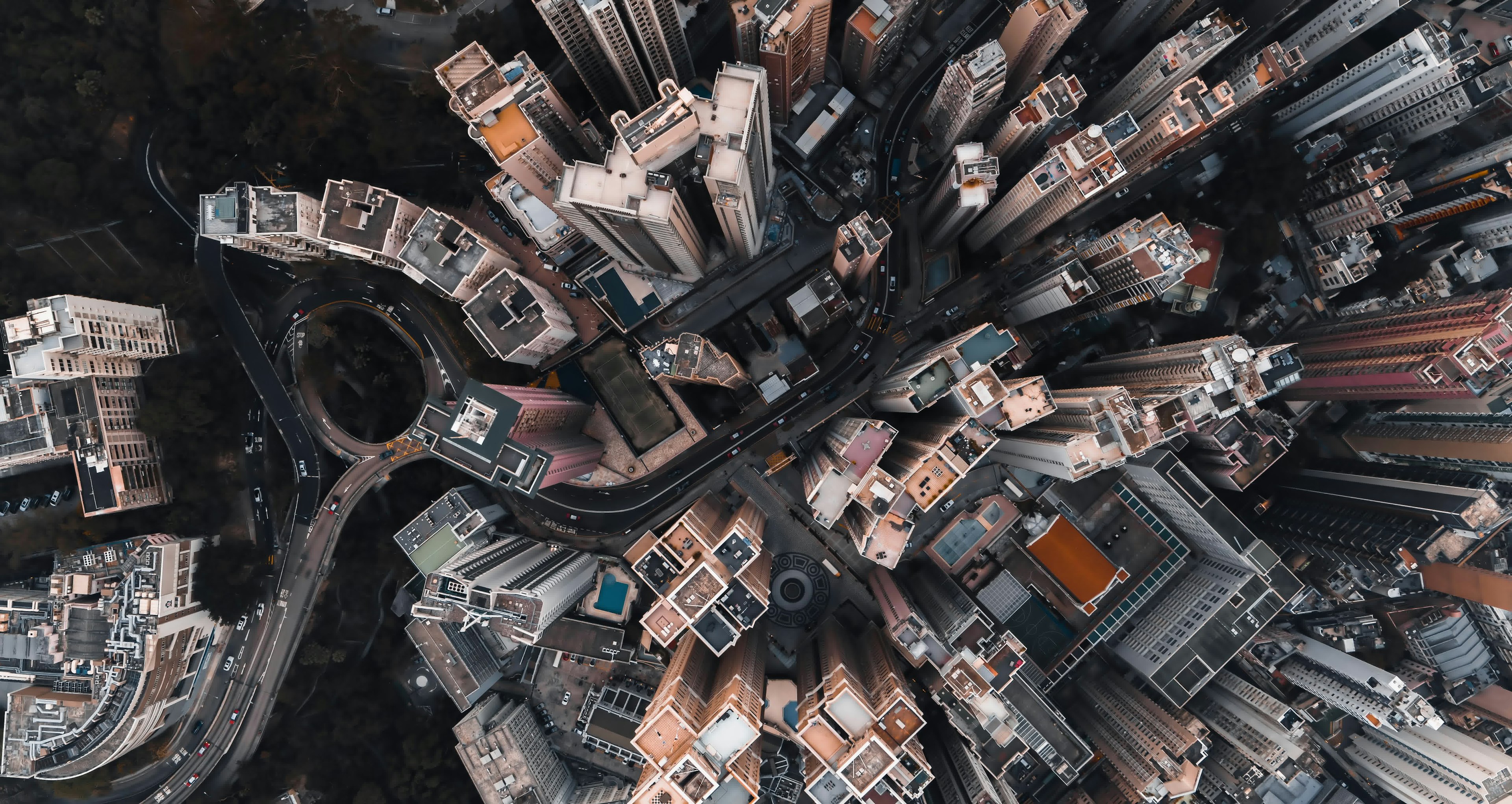 Concrete jungle