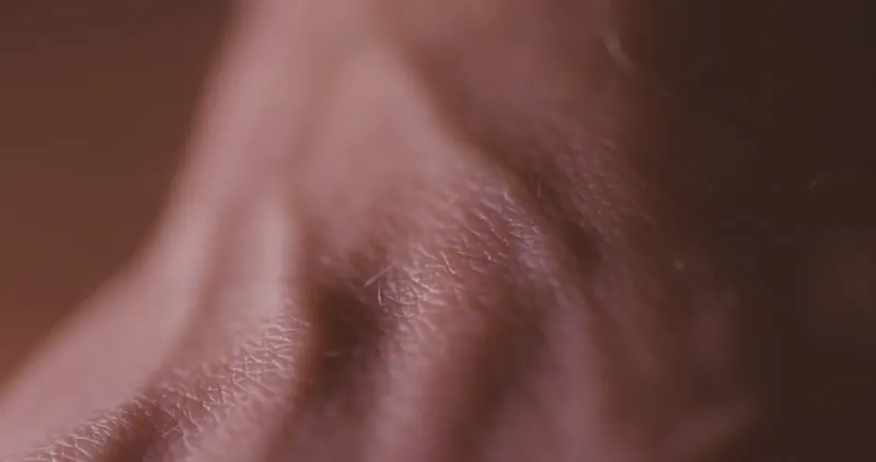 Human, Body, Texture, Skin by Arthur Cauty – Stock Footage | Artlist