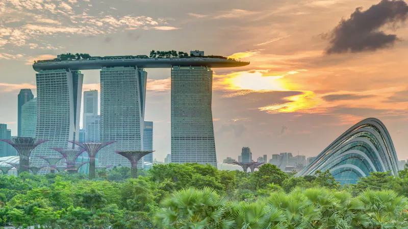 City, Building, Tree, Cityscape by Hyperlapse Pro – Stock Footage | Artlist