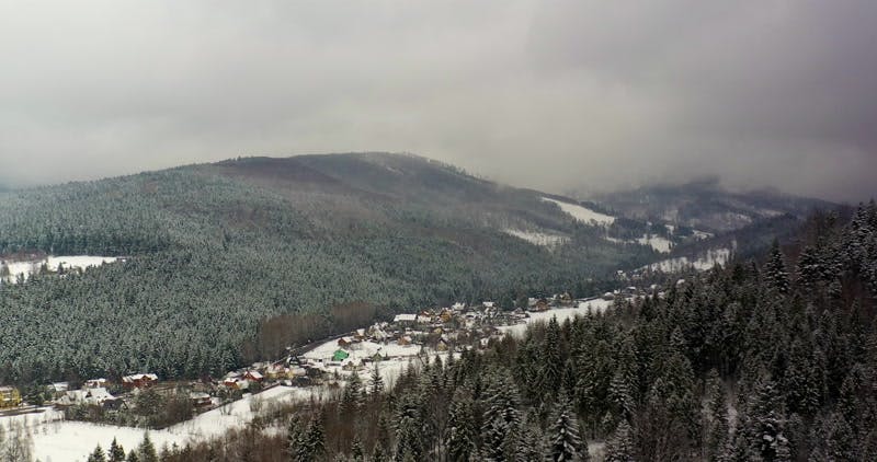 village by the woods in the winter aerial 