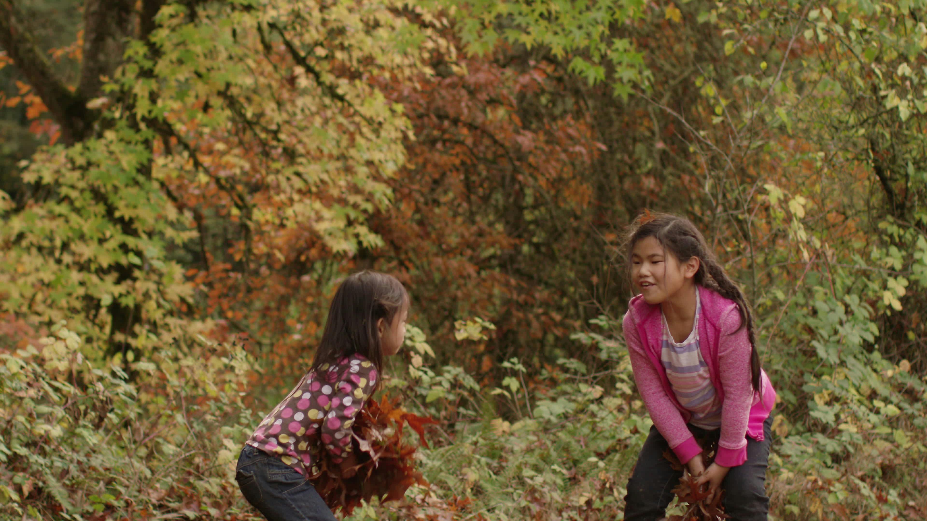 Discover fall-kids, a story-driven footage | Artlist