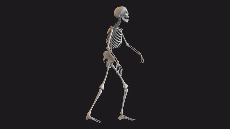 Skeleton, Animated, Scary, Bones by Pixel DNA – Stock Footage | Artlist