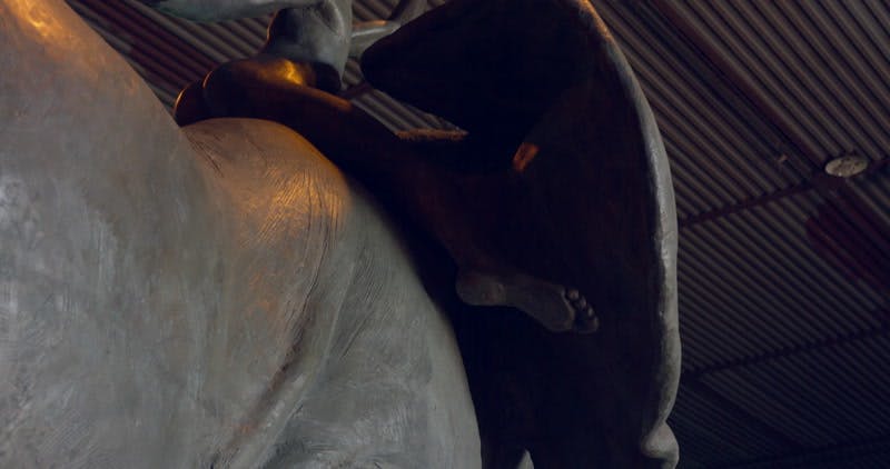 sculpture of a person sitting on an elephants back on display indoors