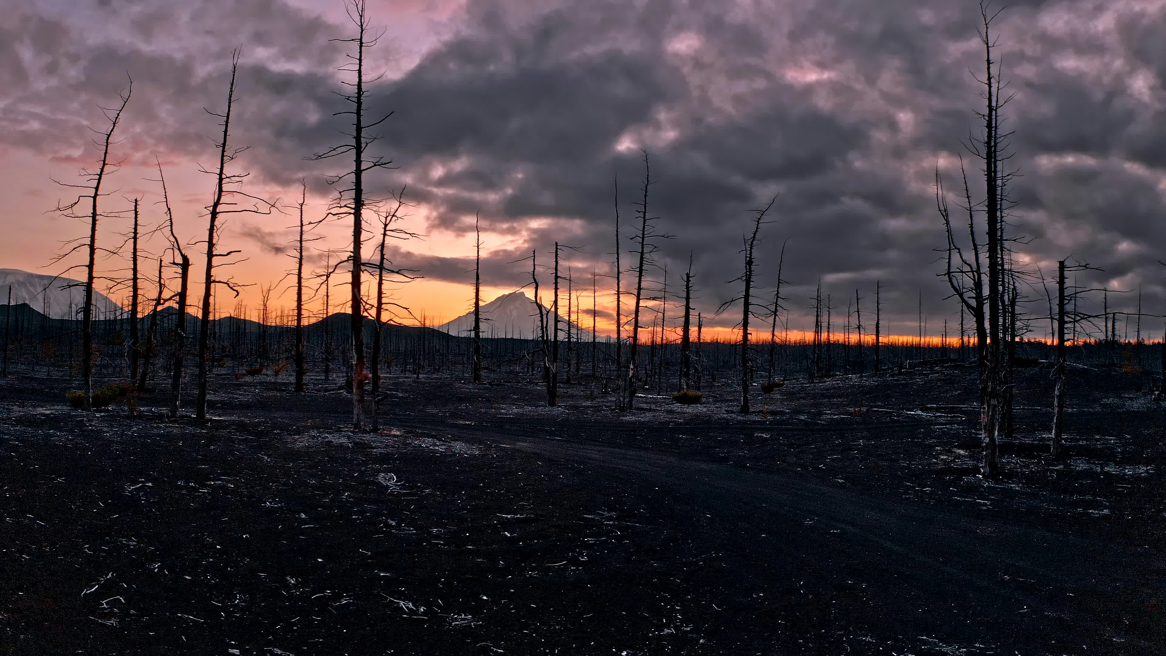 Climate crisis