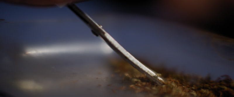 person grinding marijuana and tobacco