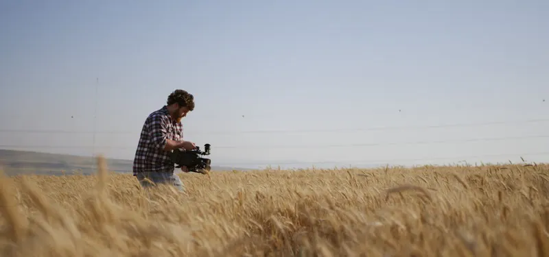 Sunny Day, Wheat Field, Camera Operator, Rural Landscape by Ami ...