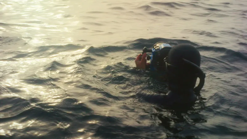 Ocean, Silhouette, Serene, Exploration by Ross Hillier – Stock Footage ...