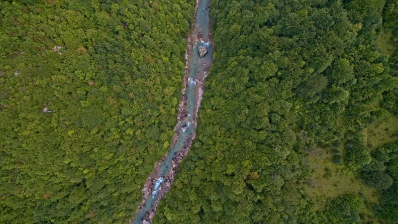 river flowing in a forest aerial