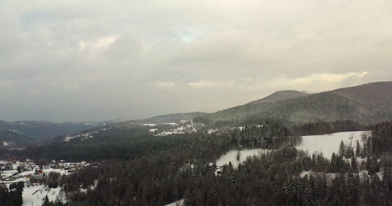 snowy woods aerial 