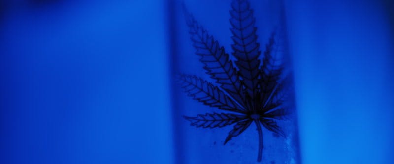 marijuana leaf drawing on a bong 