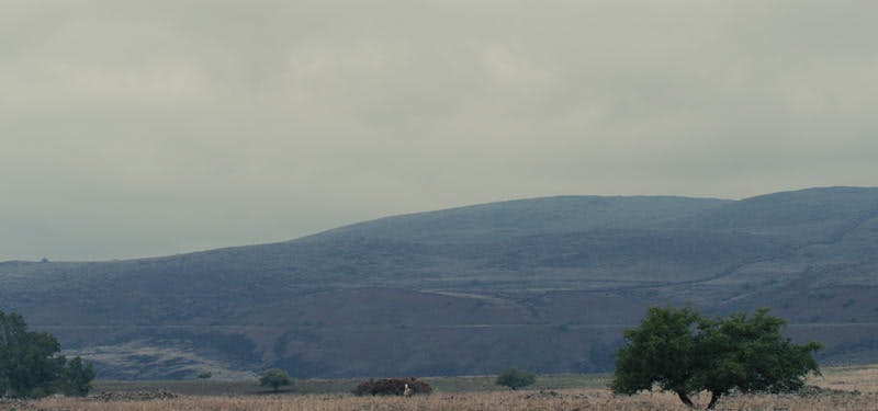 Large hill and open field with single horse standing and staring
