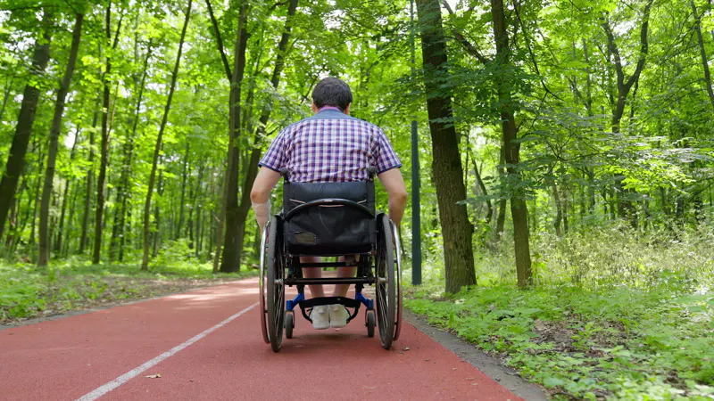 Disabled, Forest Pathway, Sitting, Invalid by Volodymyr Svystun – Stock ...
