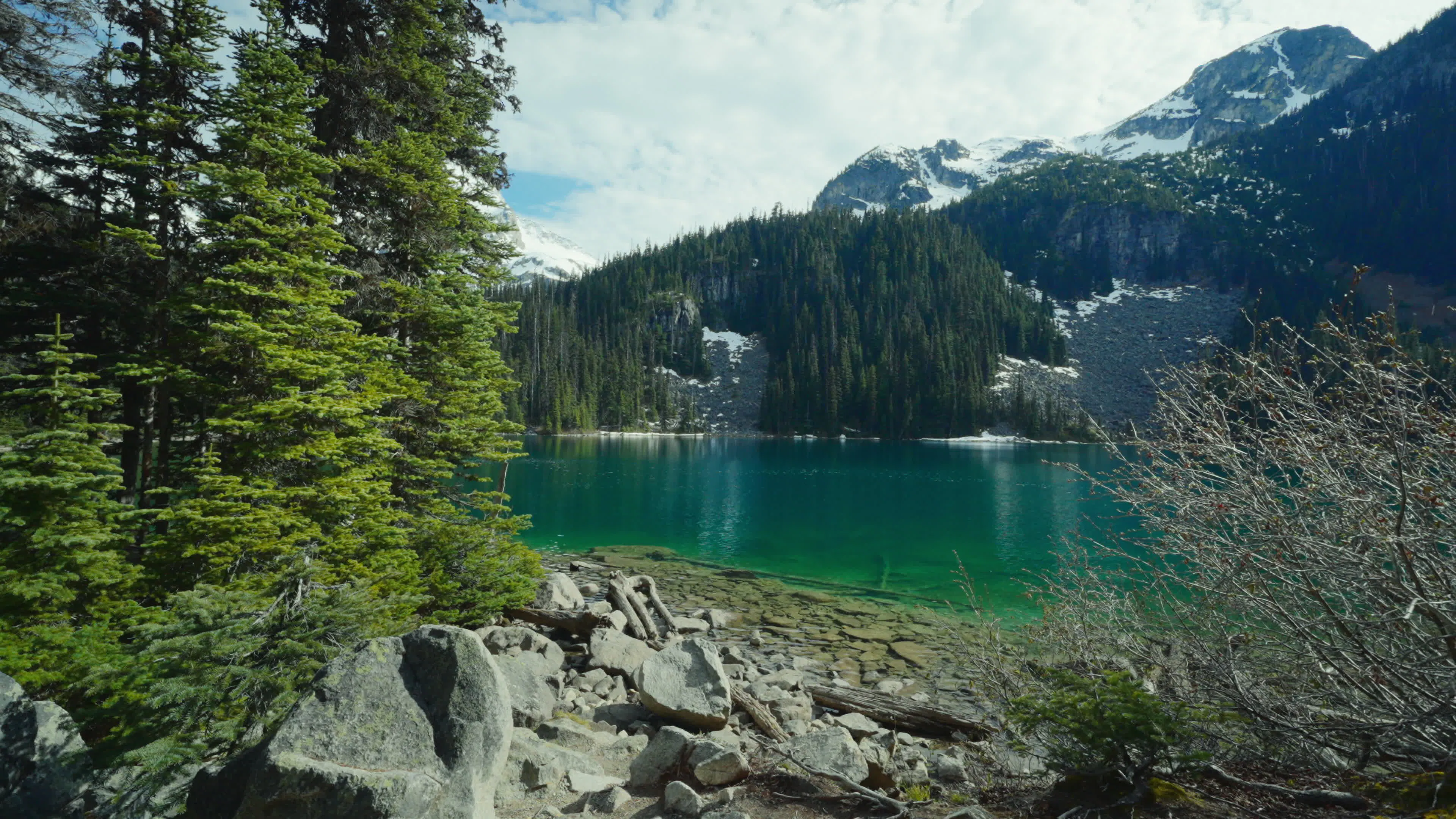 Discover scenic-forest, a story-driven footage | Artlist