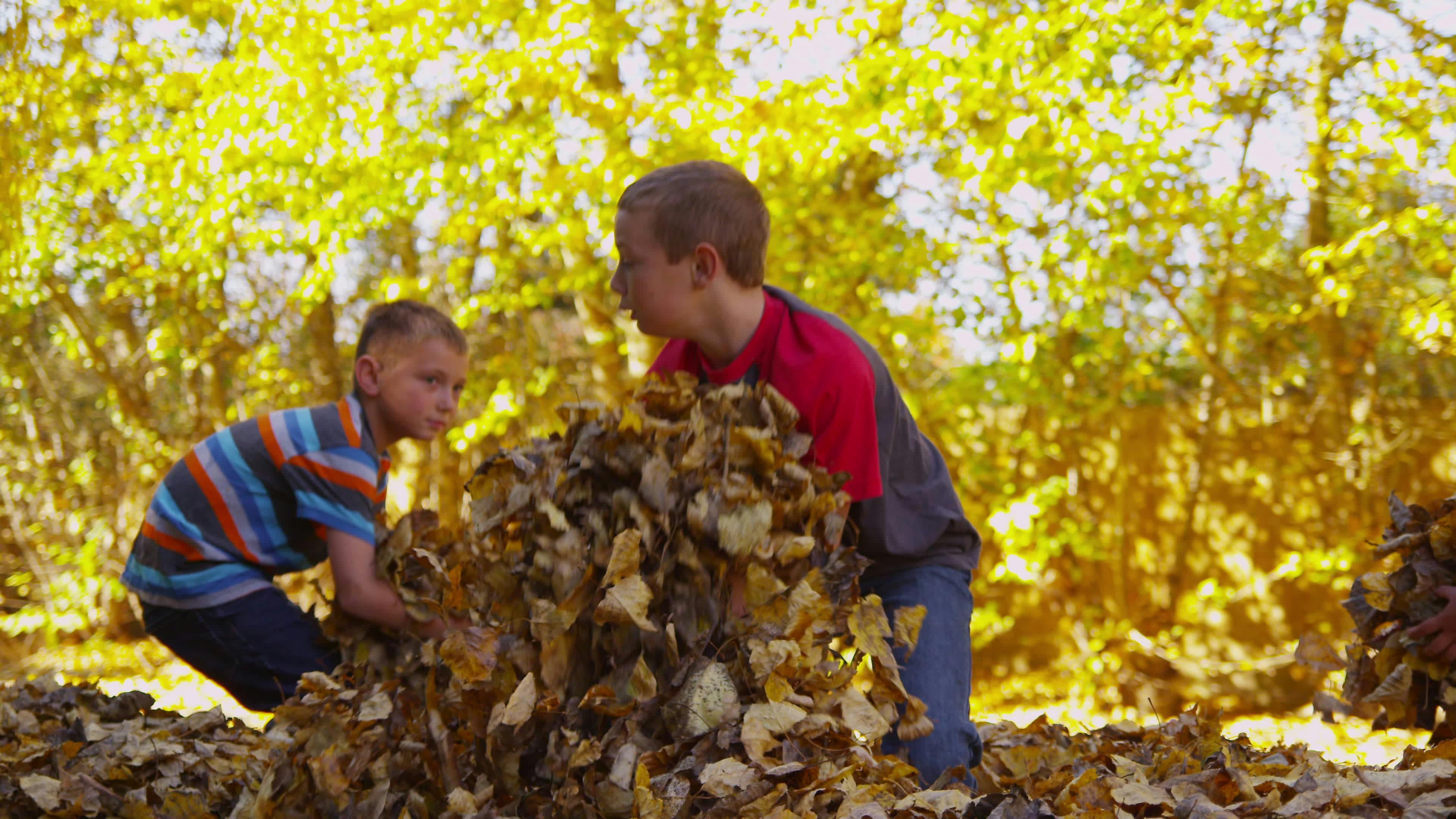 Discover fall-leaves, a story-driven footage | Artlist