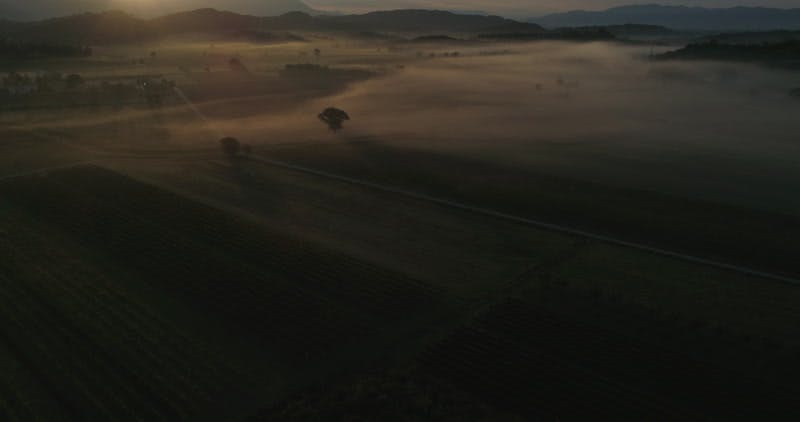 mist in field at sunrise aerial