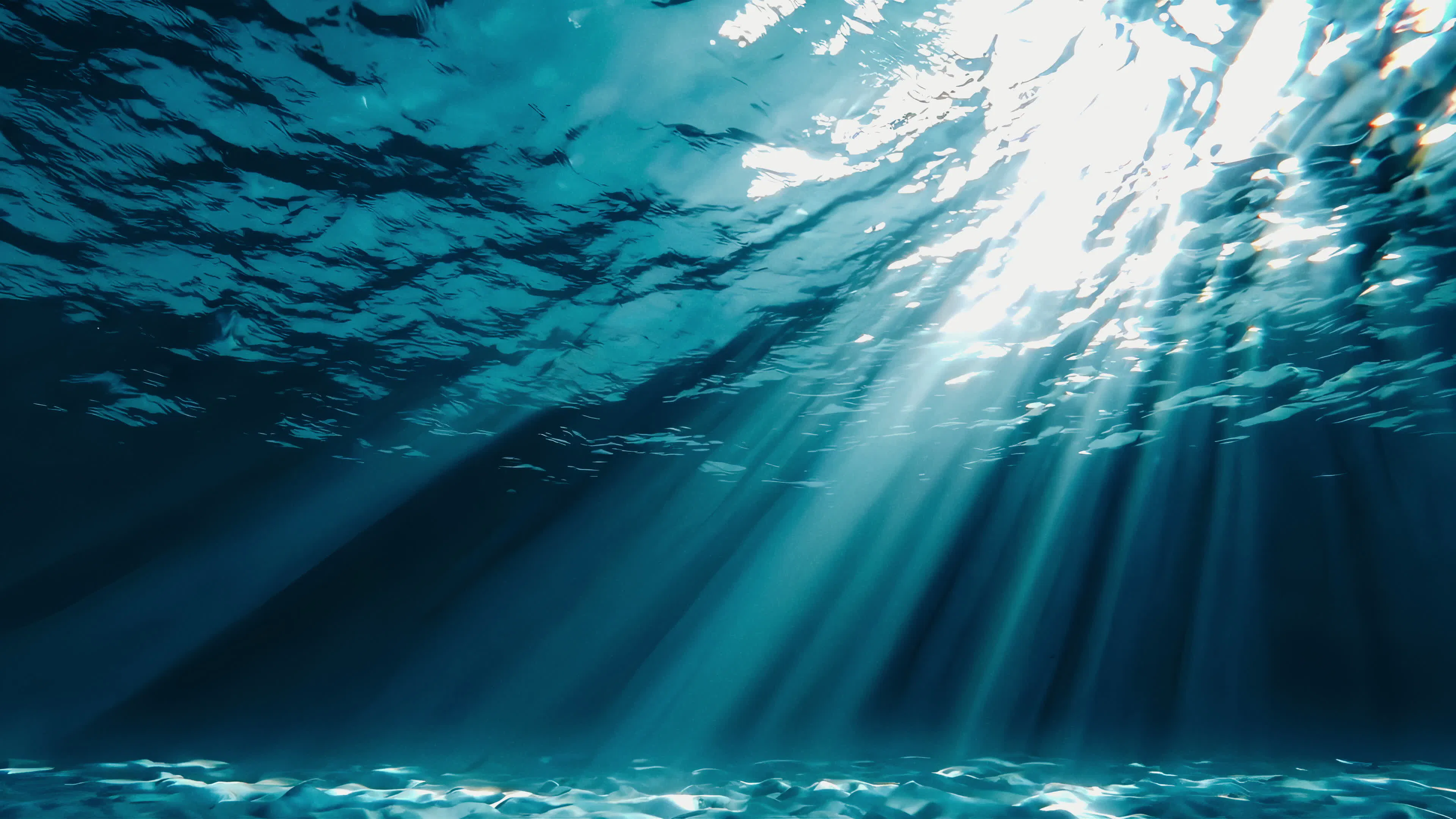 Discover under-water-animation, a story-driven footage | Artlist