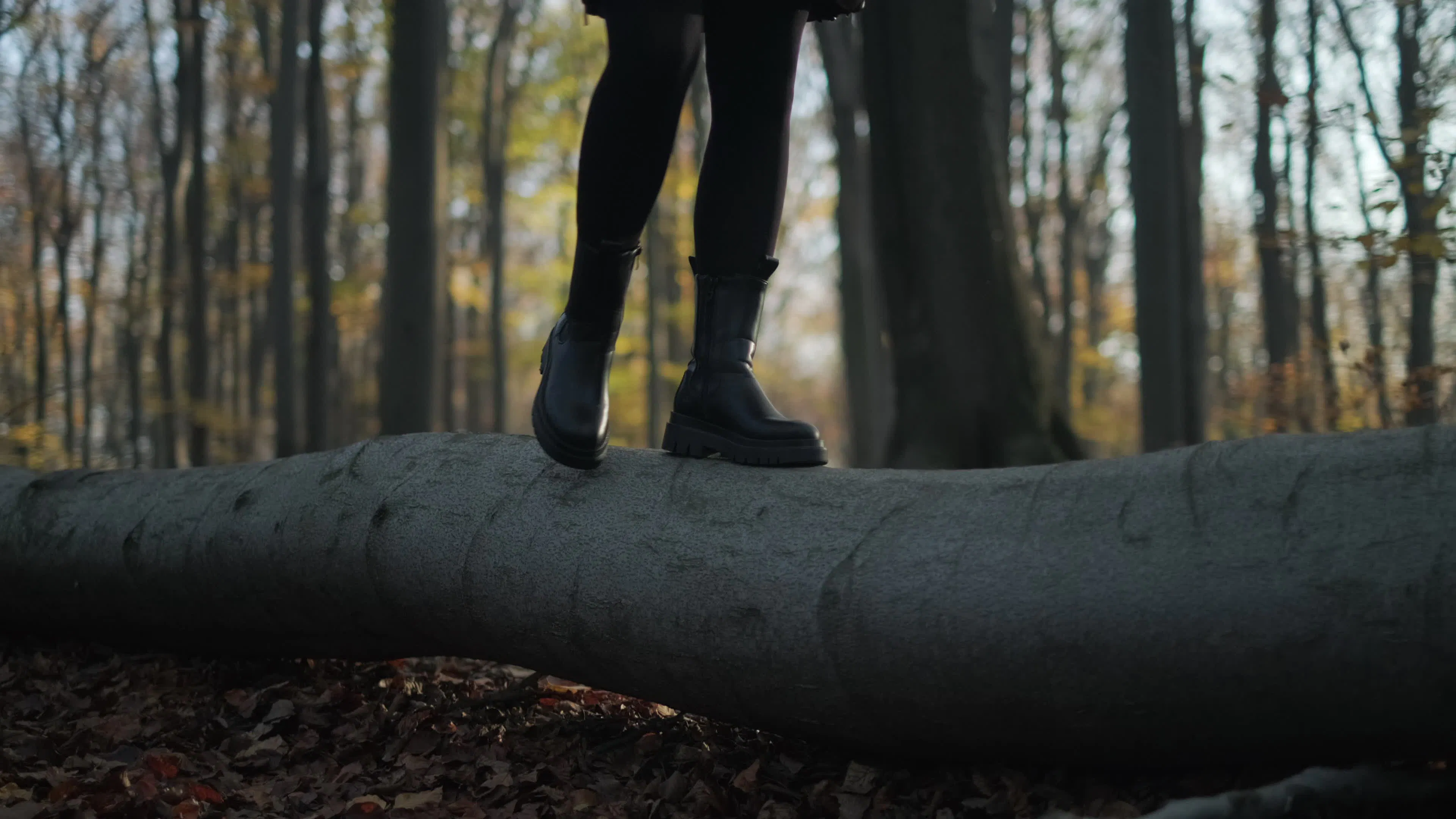 Discover an-autumnal-walk, a story-driven footage | Artlist