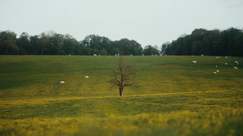 Tranquil Scene, Rural Scenery, Colmar, Lorraine by Eirik Sundmark ...
